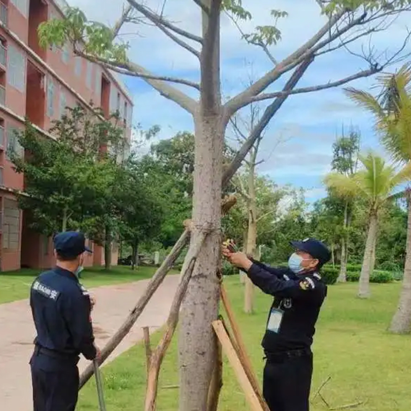 聞“風(fēng)”而動，全力以“復(fù)” | 災(zāi)后重建，百雀人在行動